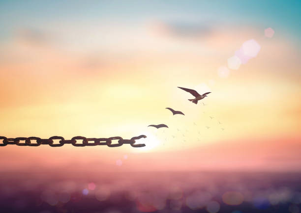 Il valore dell'autodeterminazione 2 istockphoto 1043441246 612x612 1