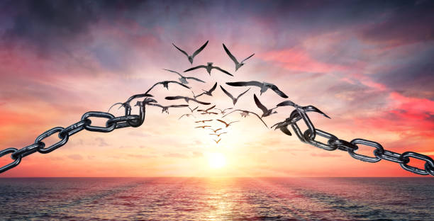 Il valore dell'autodeterminazione 5 istockphoto 1141549703 612x612 1