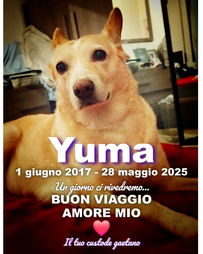 poster 2025 05 30 093436