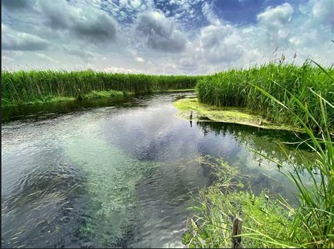 Fiume Tara