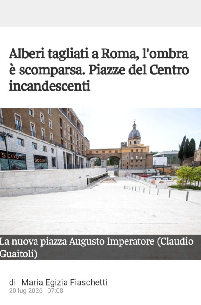 La strage degli alberi: Roma capofila della distruzione del green 1 alberi abbattuti