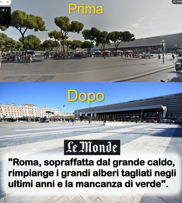La strage degli alberi: Roma capofila della distruzione del green 2 alberi 1 1