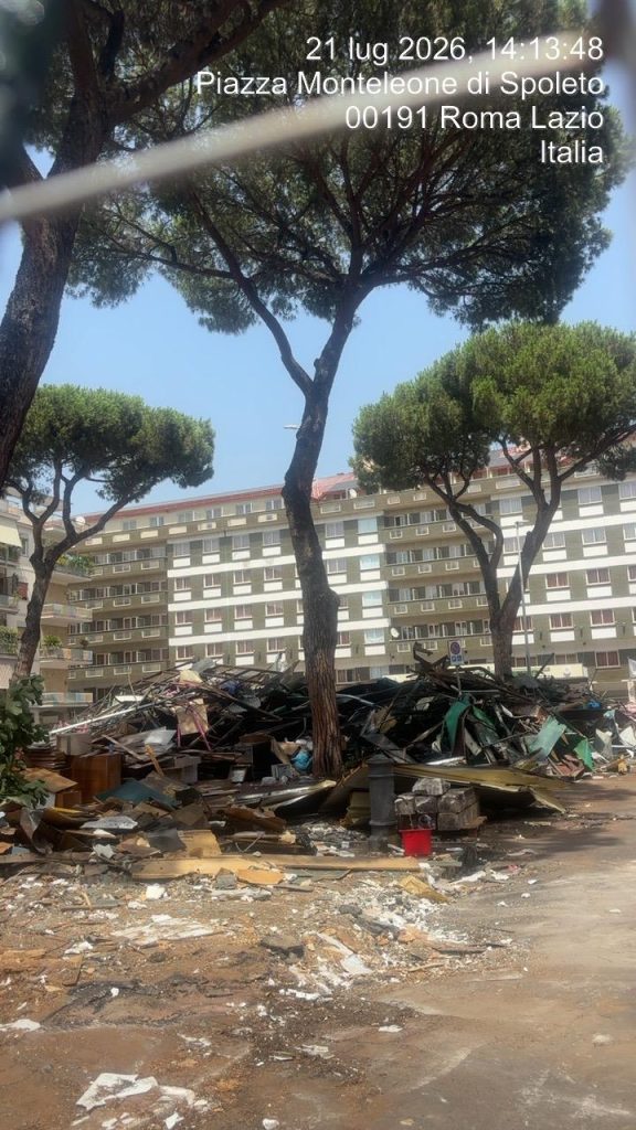 La strage degli alberi: Roma capofila della distruzione del green 3 alberi 1 2