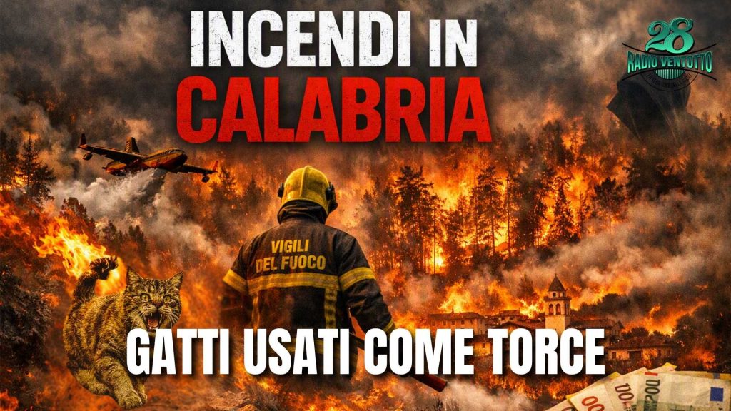 Gatti come torce: la Calabria brucia nella barbarie 1 incendi in calabria2