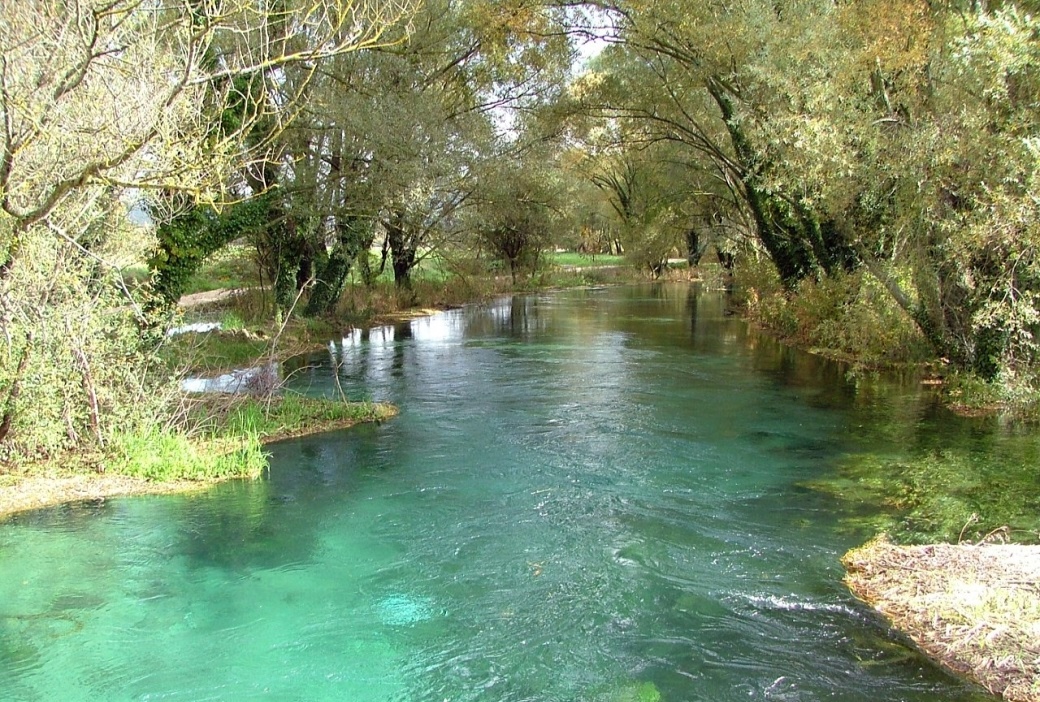 acqua vita e noi