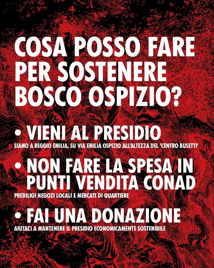 La politica suicida del taglio degli alberi: il caso Conad 4 alberi