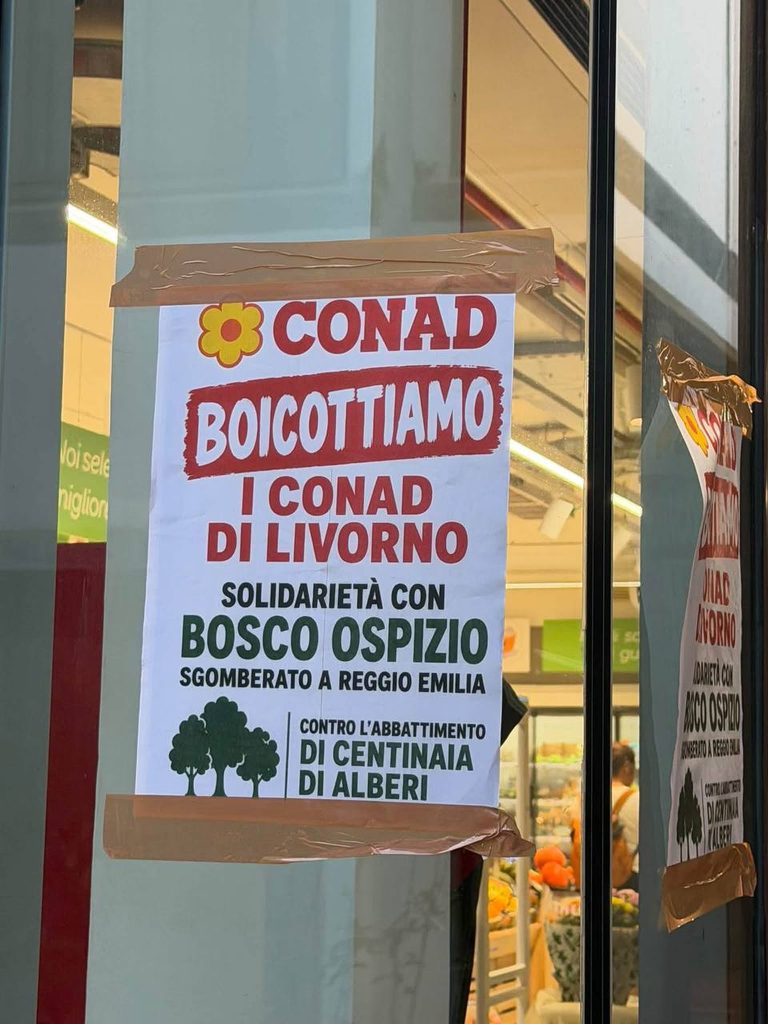 La politica suicida del taglio degli alberi: il caso Conad 3 alberi conad 768x1024 1